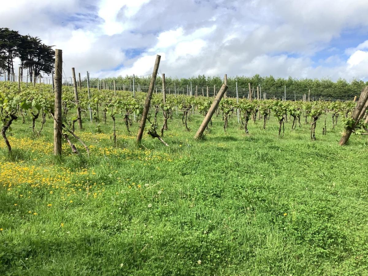 Polgoon Vineyard Annex Penzance Διαμέρισμα Εξωτερικό φωτογραφία